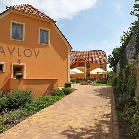 Hotel Pavlov Exteriör bild