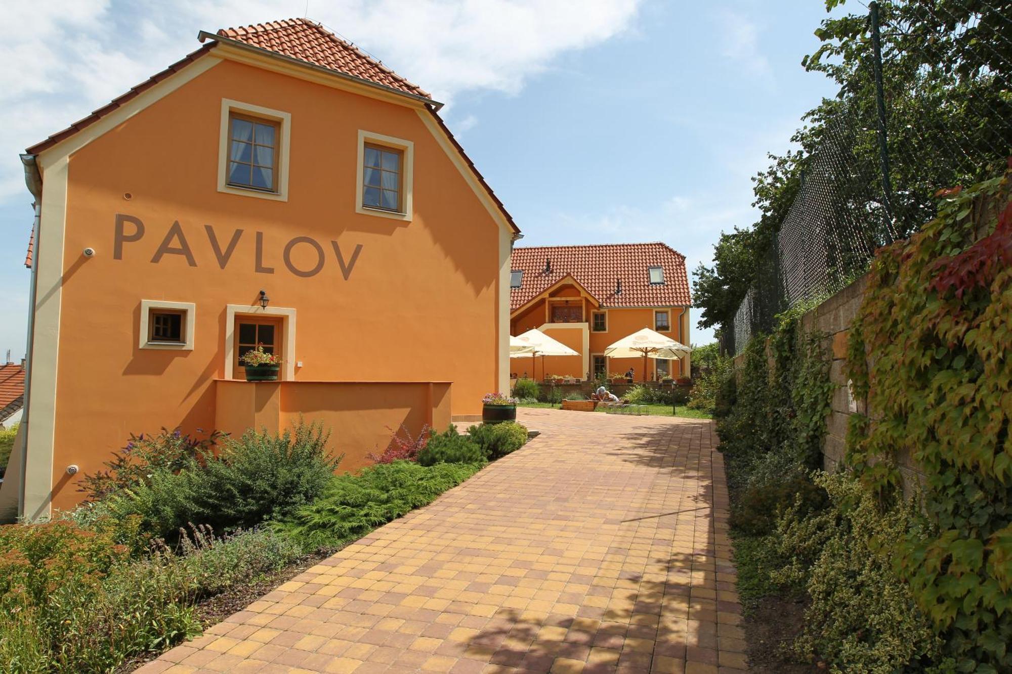 Hotel Pavlov Exteriör bild